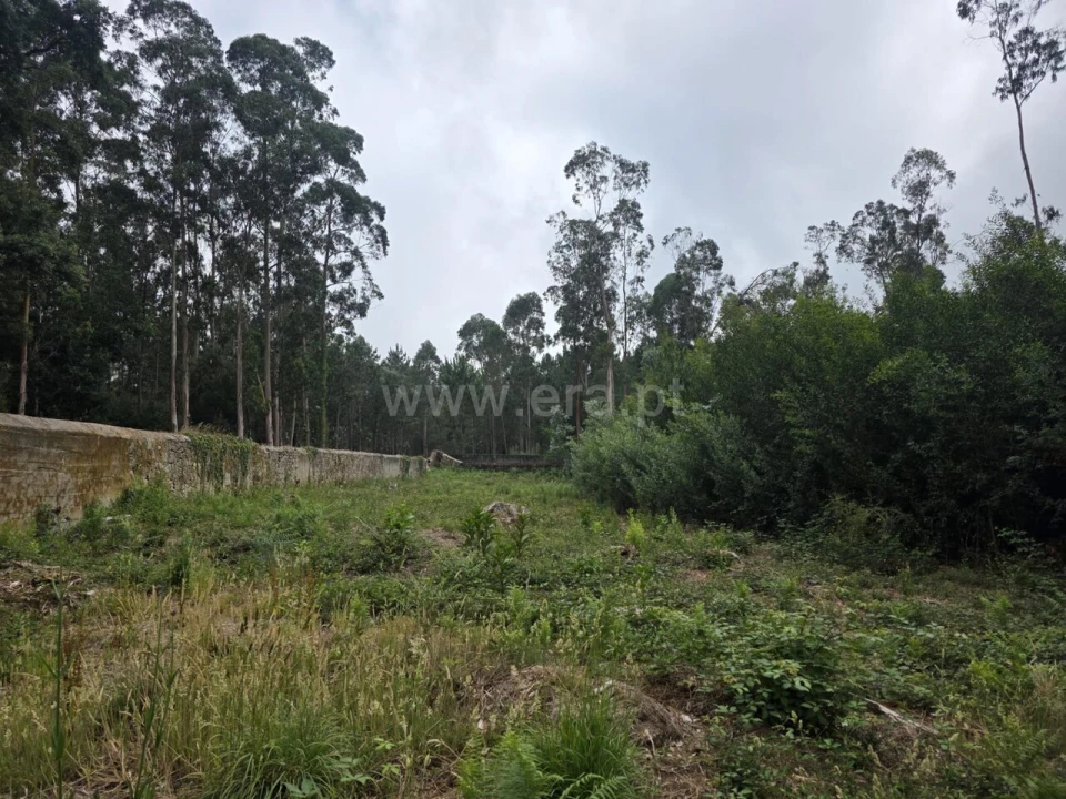 Terreno para Venda em Malta e Canidelo Foto 5