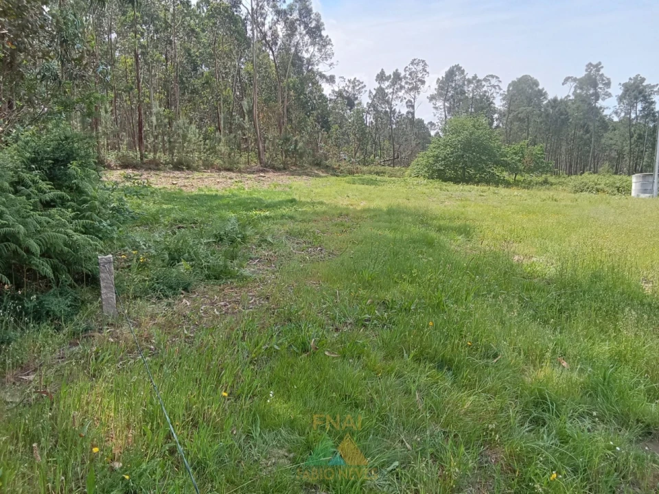 Terreno para Venda em São Pedro de Arcos Foto 8