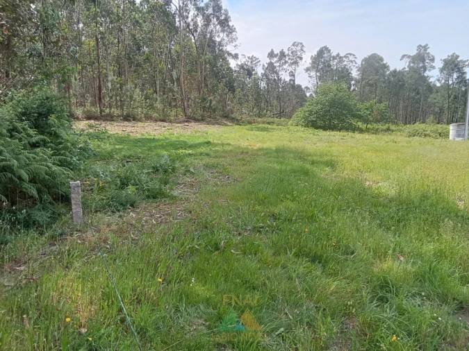 Terreno para Venda em São Pedro de Arcos Foto 8
