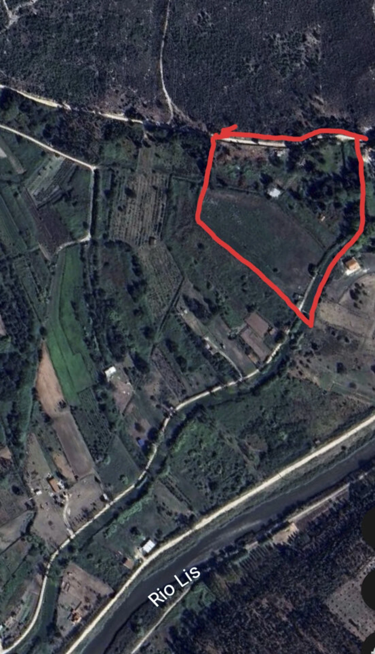 Terreno para Venda em Vieira de Leiria Foto 1