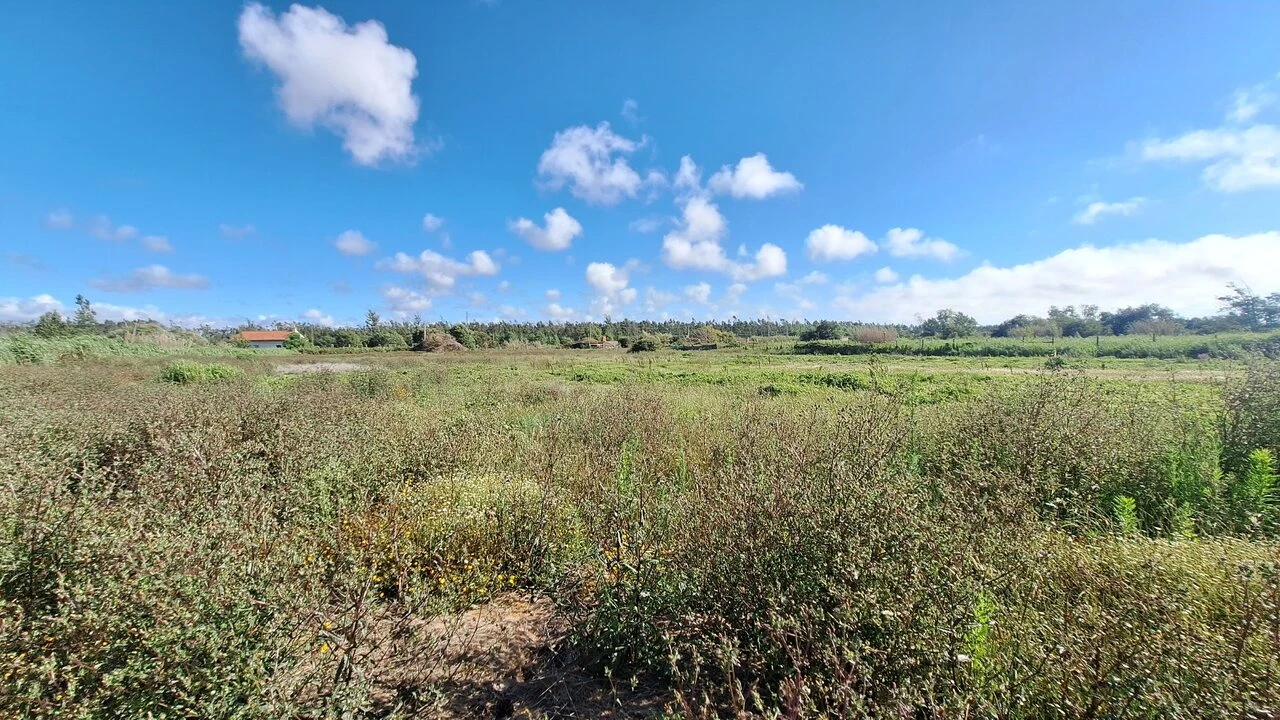 Terreno para Venda em Vieira de Leiria Foto 7
