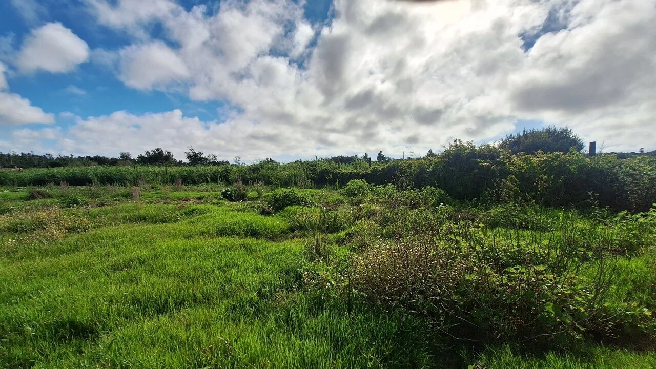 Terreno para Venda em Vieira de Leiria Foto 8
