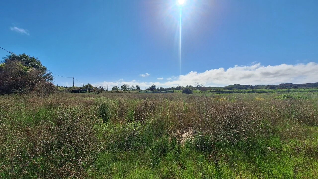 Terreno para Venda em Vieira de Leiria Foto 10