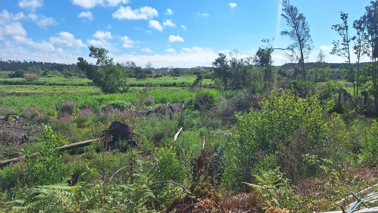Terreno para Venda em Vieira de Leiria Foto 11