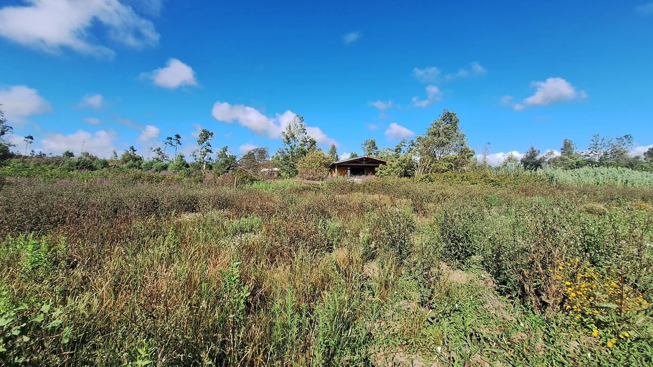 Terreno para Venda em Vieira de Leiria Foto 13