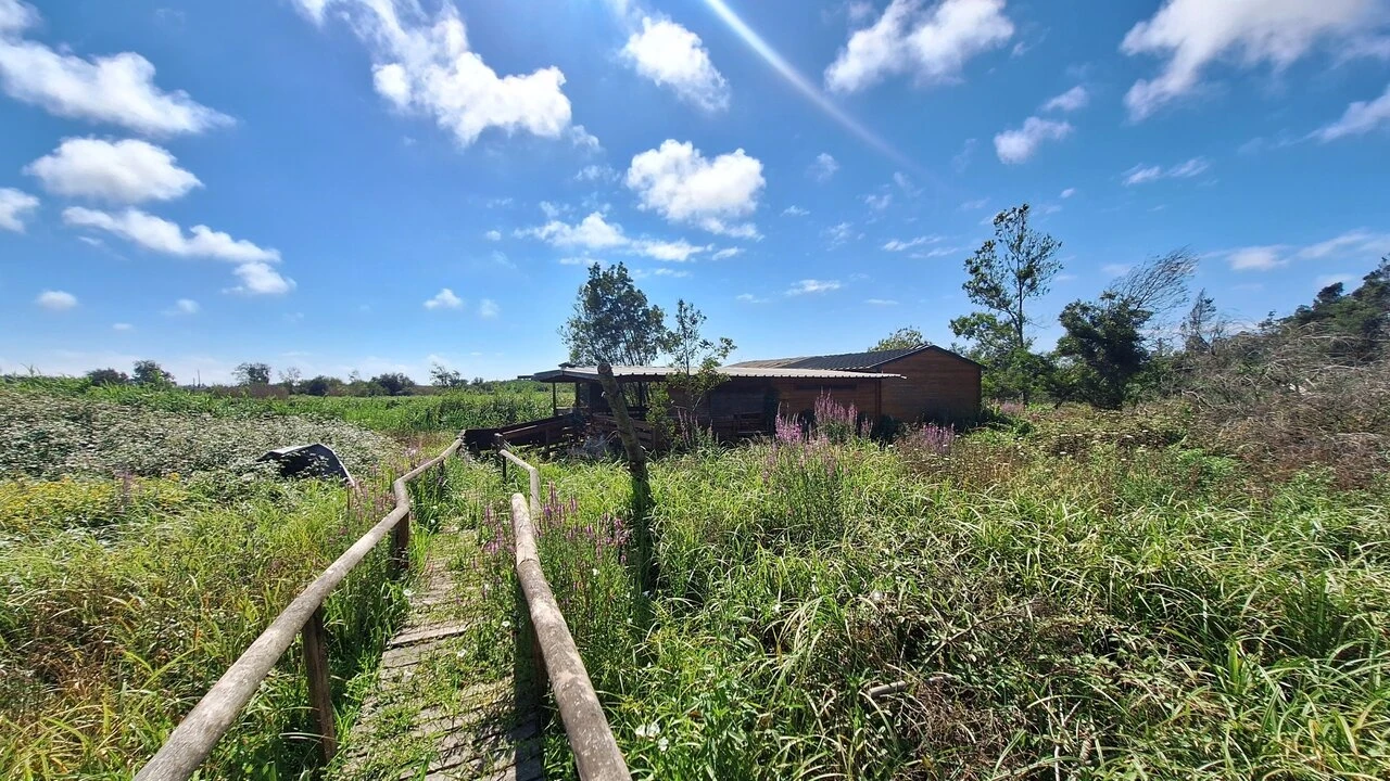 Terreno para Venda em Vieira de Leiria Foto 14