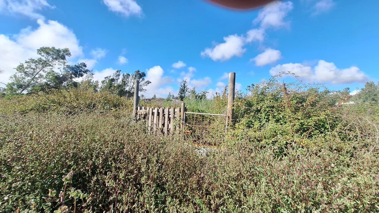 Terreno para Venda em Vieira de Leiria Foto 18