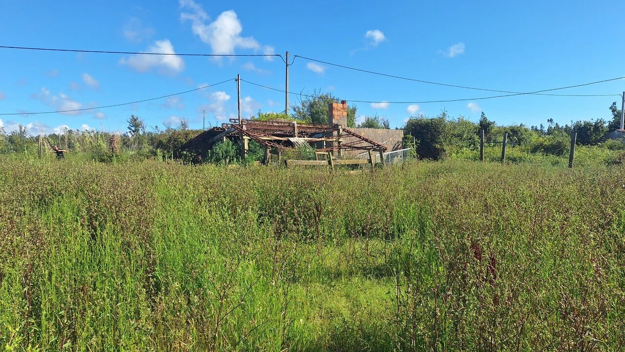 Terreno para Venda em Vieira de Leiria Foto 19