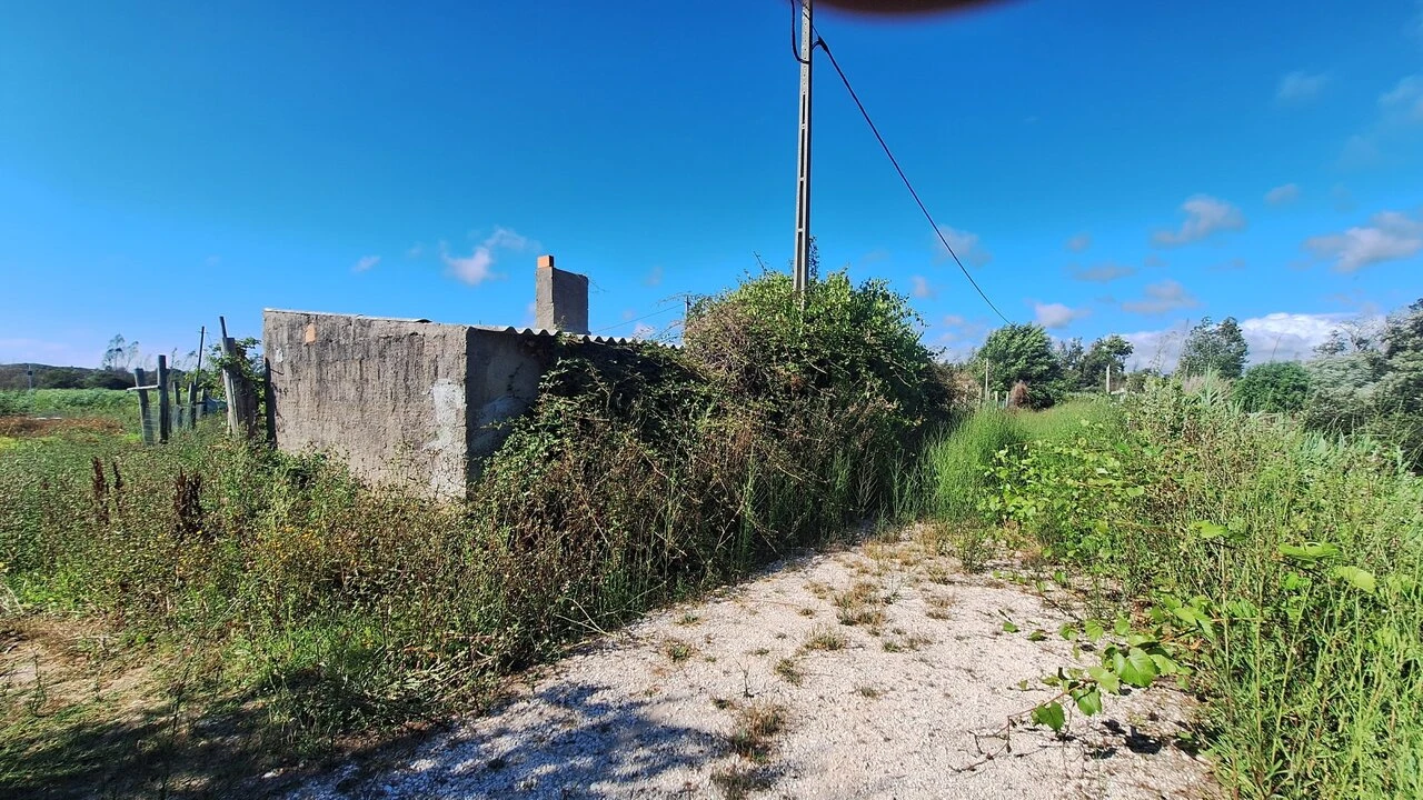 Terreno para Venda em Vieira de Leiria Foto 20