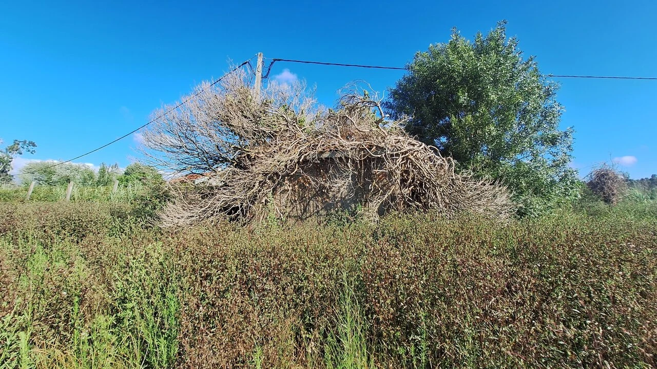 Terreno para Venda em Vieira de Leiria Foto 22