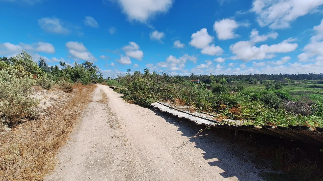 Terreno para Venda em Vieira de Leiria Foto 23