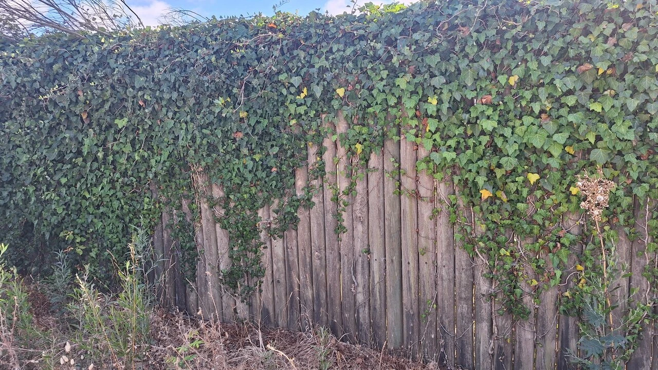 Terreno para Venda em Vieira de Leiria Foto 25