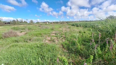 Terreno para Venda em Vieira de Leiria