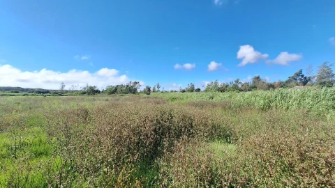Terreno para Venda em Vieira de Leiria
