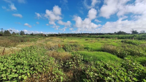 Terreno para Venda em Vieira de Leiria