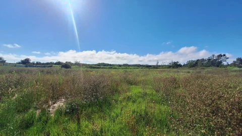 Terreno para Venda em Vieira de Leiria