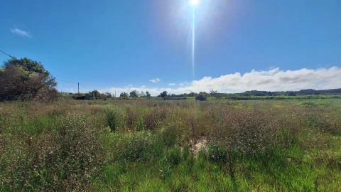 Terreno para Venda em Vieira de Leiria