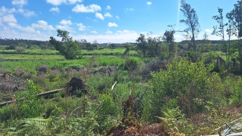 Terreno para Venda em Vieira de Leiria