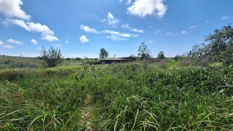 Terreno para Venda em Vieira de Leiria