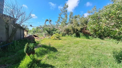 Terreno para Venda em Vieira de Leiria