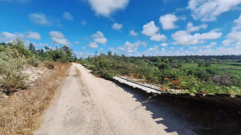Terreno para Venda em Vieira de Leiria