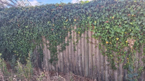 Terreno para Venda em Vieira de Leiria
