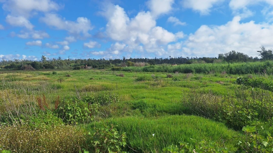 Terreno para Venda em Vieira de Leiria Foto 4