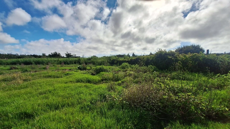 Terreno para Venda em Vieira de Leiria Foto 8