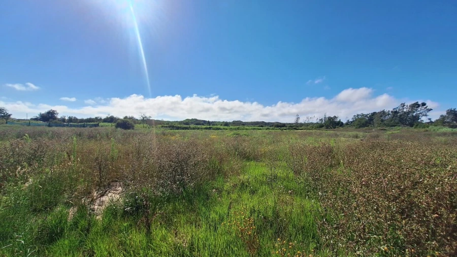 Terreno para Venda em Vieira de Leiria Foto 9
