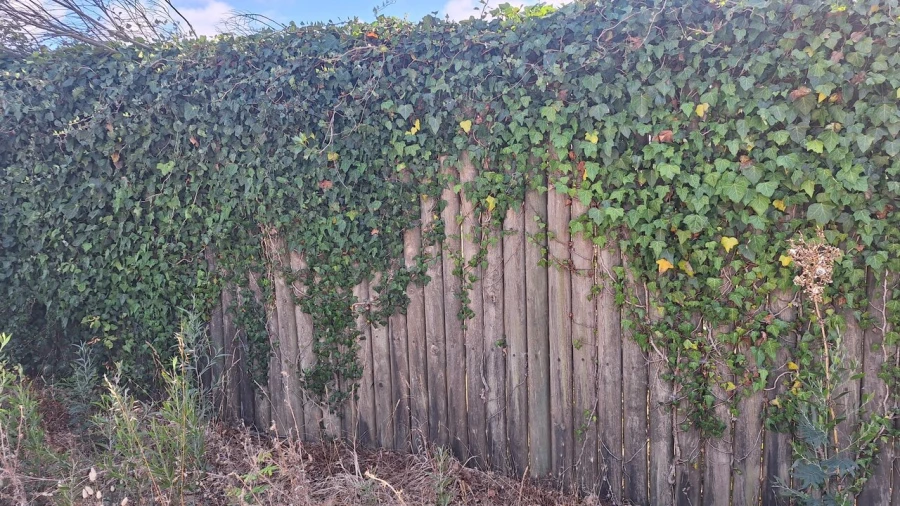 Terreno para Venda em Vieira de Leiria Foto 25