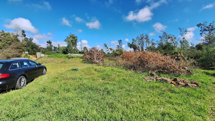 Terreno para Venda em Vieira de Leiria Foto 26