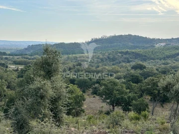 Terreno para Venda em Marvila, Ribeira Santarém, São Salvador, São Nicolau