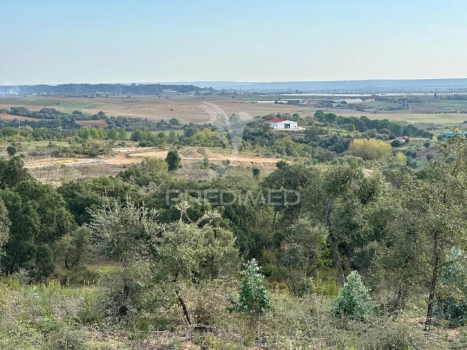Terreno para Venda em Marvila, Ribeira Santarém, São Salvador, São Nicolau Foto 7