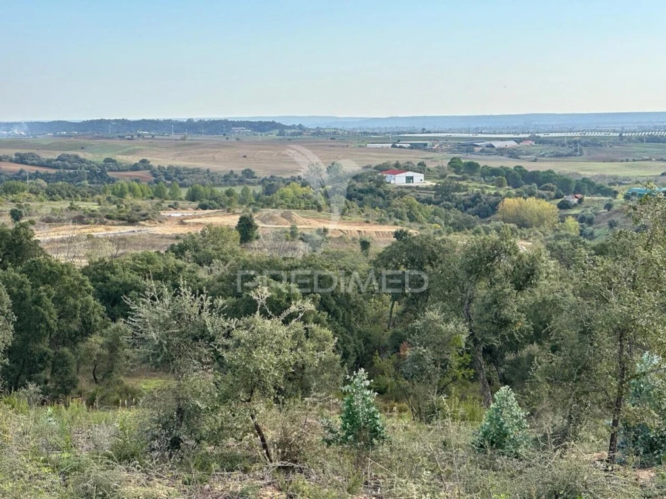 Terreno para Venda em Marvila, Ribeira Santarém, São Salvador, São Nicolau Foto 7