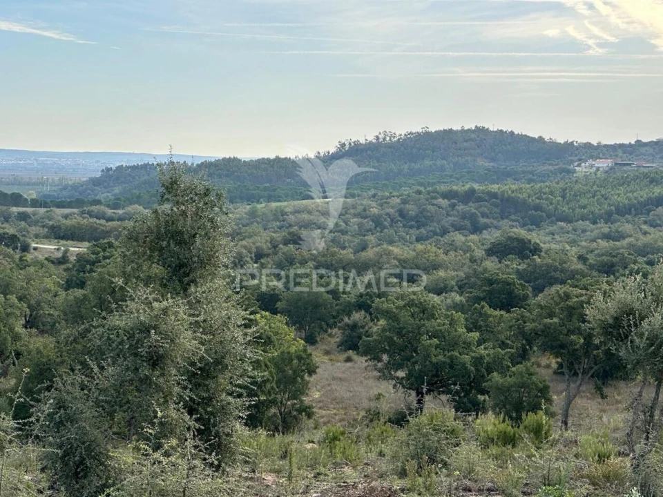 Terreno para Venda em Marvila, Ribeira Santarém, São Salvador, São Nicolau Foto 10