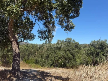 Quinta T7 para Venda em São Luis