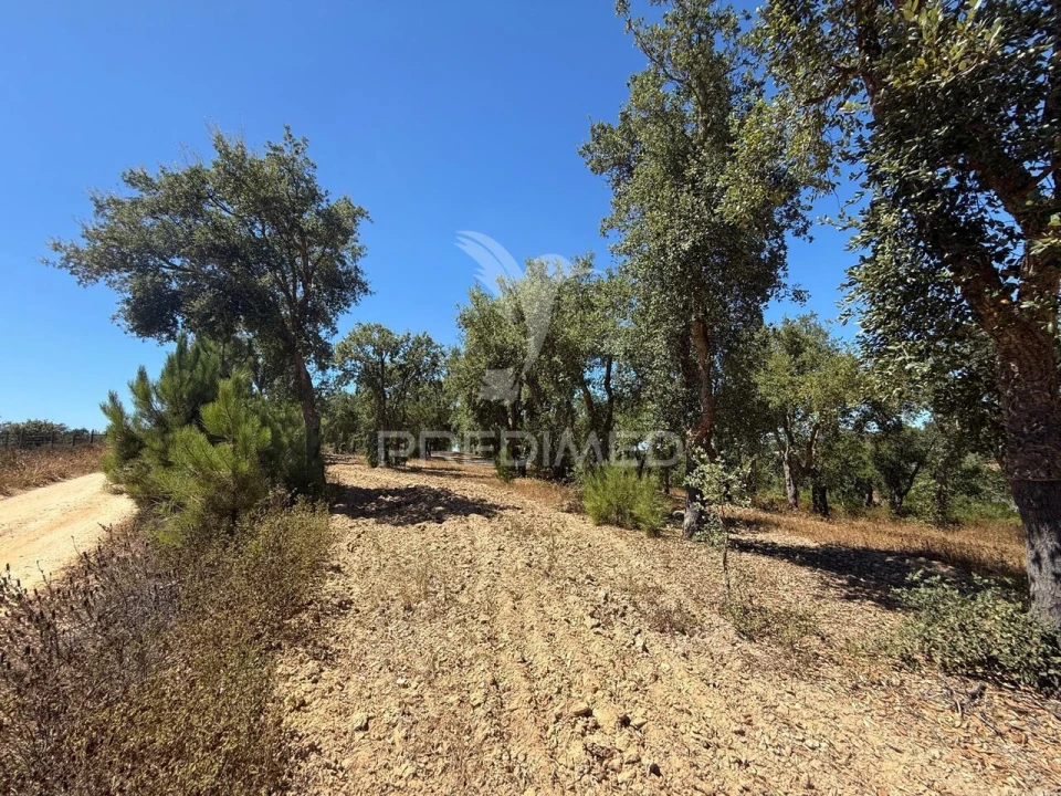 Quinta T7 para Venda em São Luis Foto 29