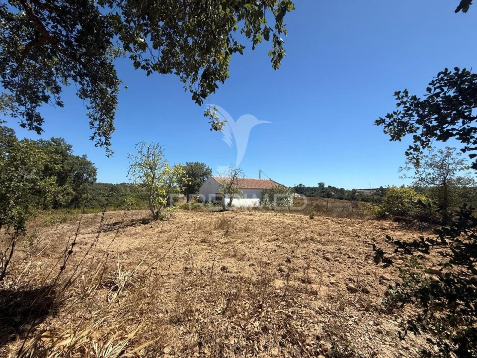Quinta T7 para Venda em São Luis Foto 32