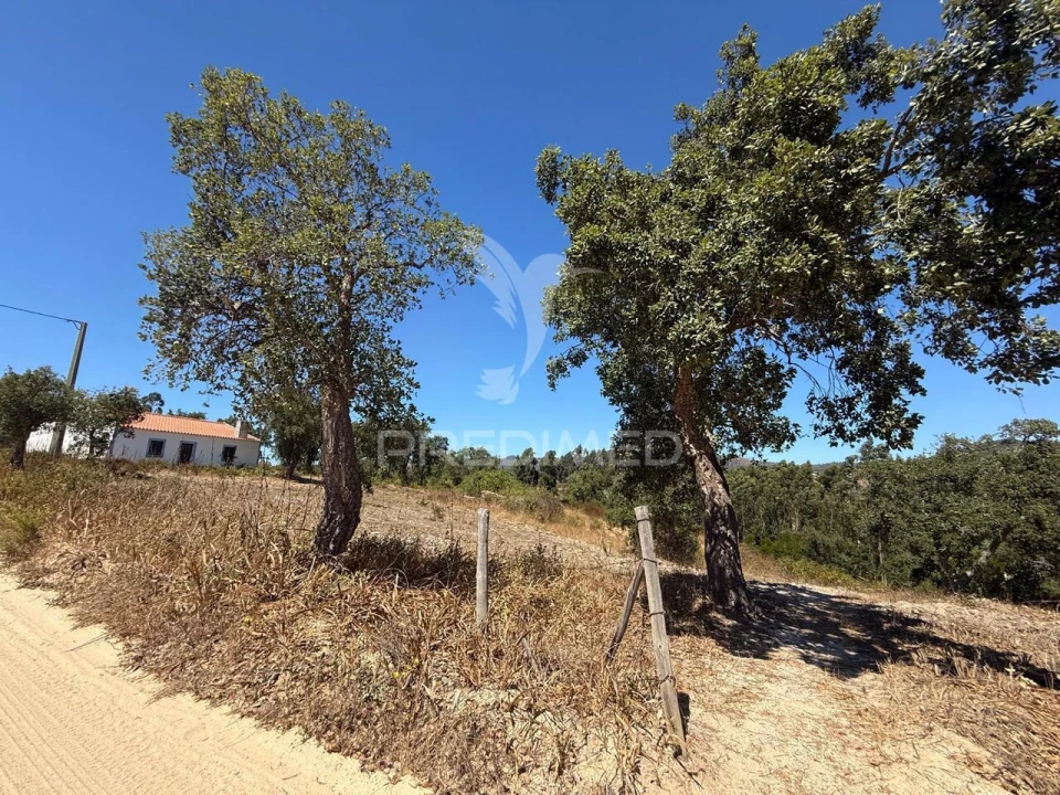 Quinta T7 para Venda em São Luis Foto 31