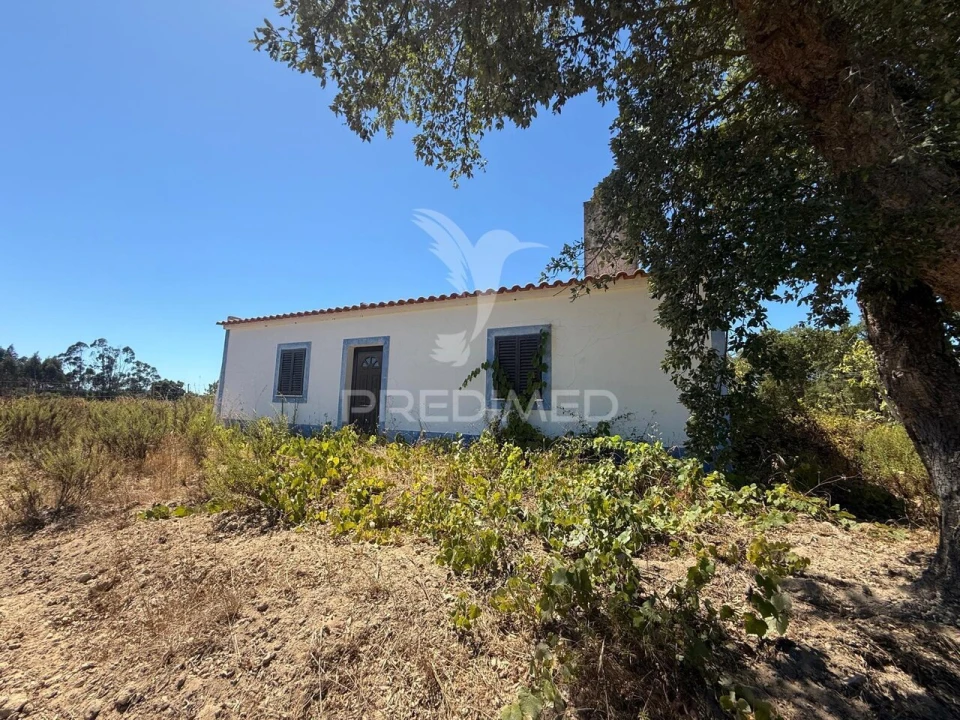 Quinta T7 para Venda em São Luis Foto 26