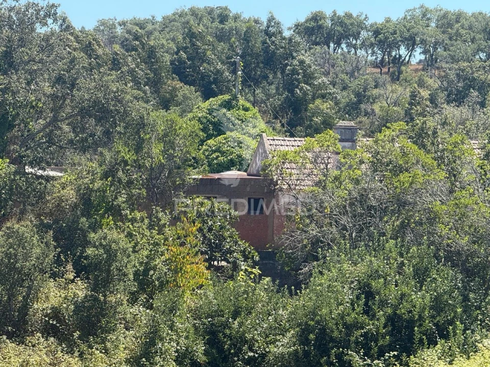 Quinta T7 para Venda em São Luis Foto 4