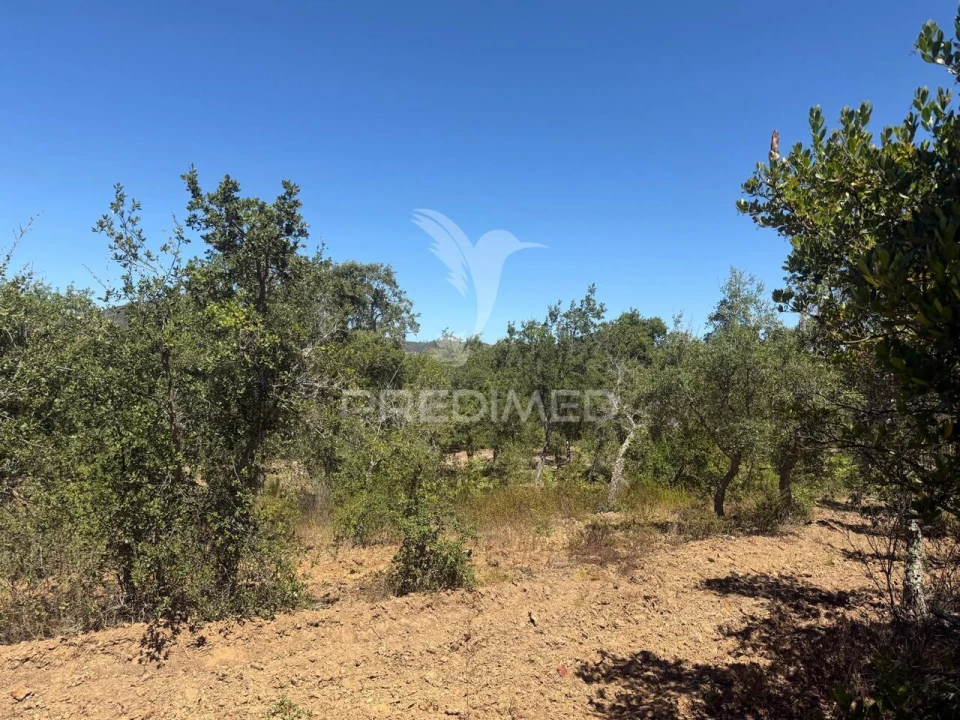 Quinta T7 para Venda em São Luis Foto 24