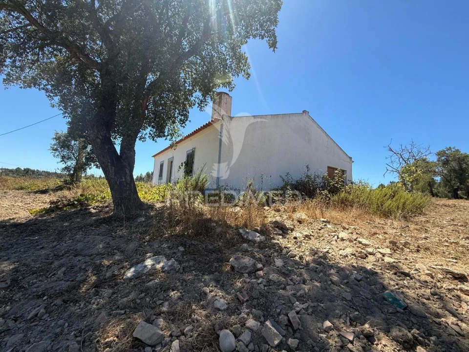 Quinta T7 para Venda em São Luis Foto 25