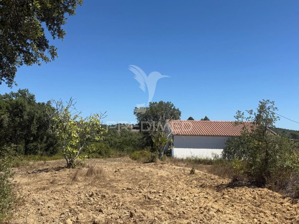 Quinta T7 para Venda em São Luis Foto 21