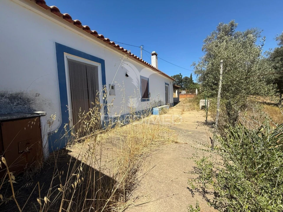 Quinta T7 para Venda em São Luis Foto 3