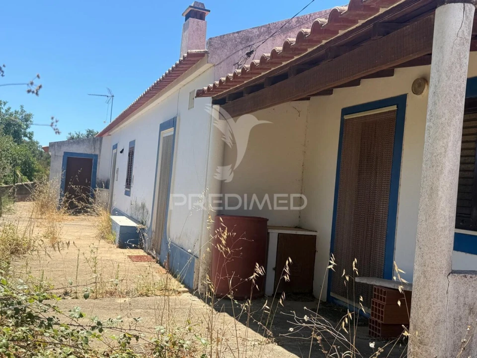 Quinta T7 para Venda em São Luis Foto 2
