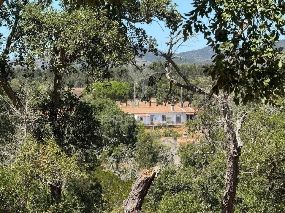 Quinta T7 para Venda em São Luis Foto 22