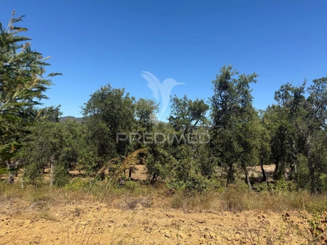 Quinta T7 para Venda em São Luis Foto 14