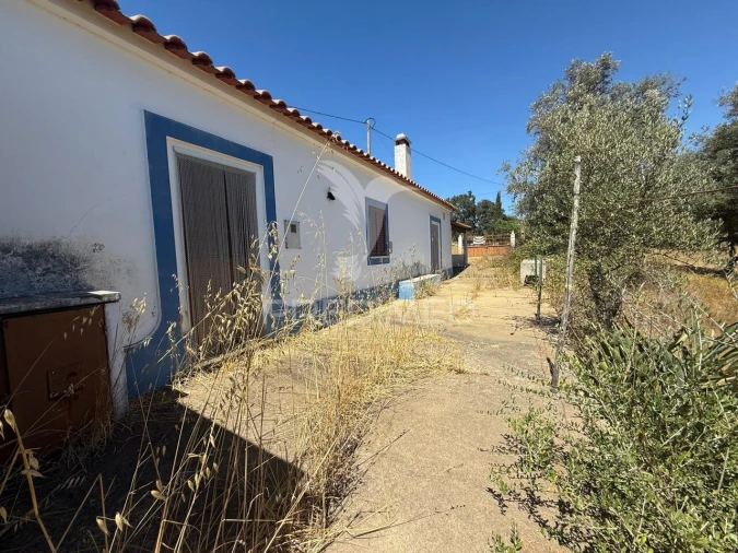 Quinta T7 para Venda em São Luis Foto 3