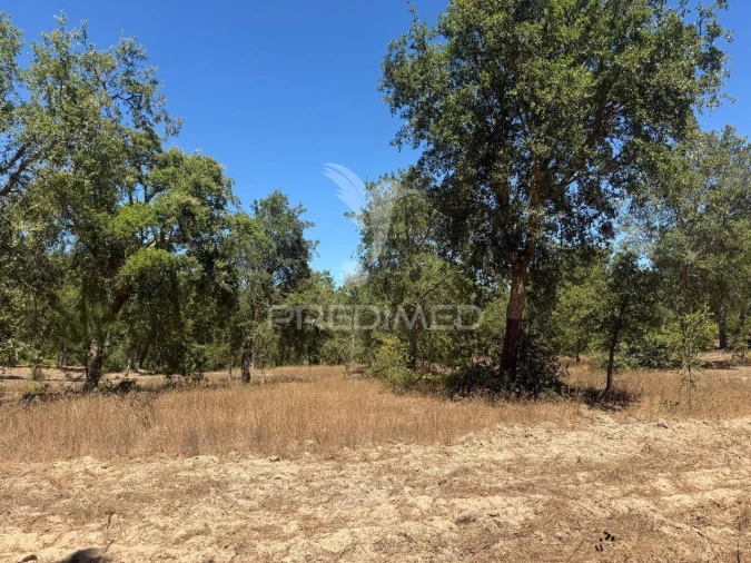Quinta T7 para Venda em São Luis Foto 18
